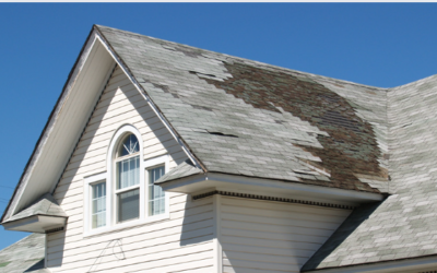Top 5 Signs Your Roof Needs Repair 